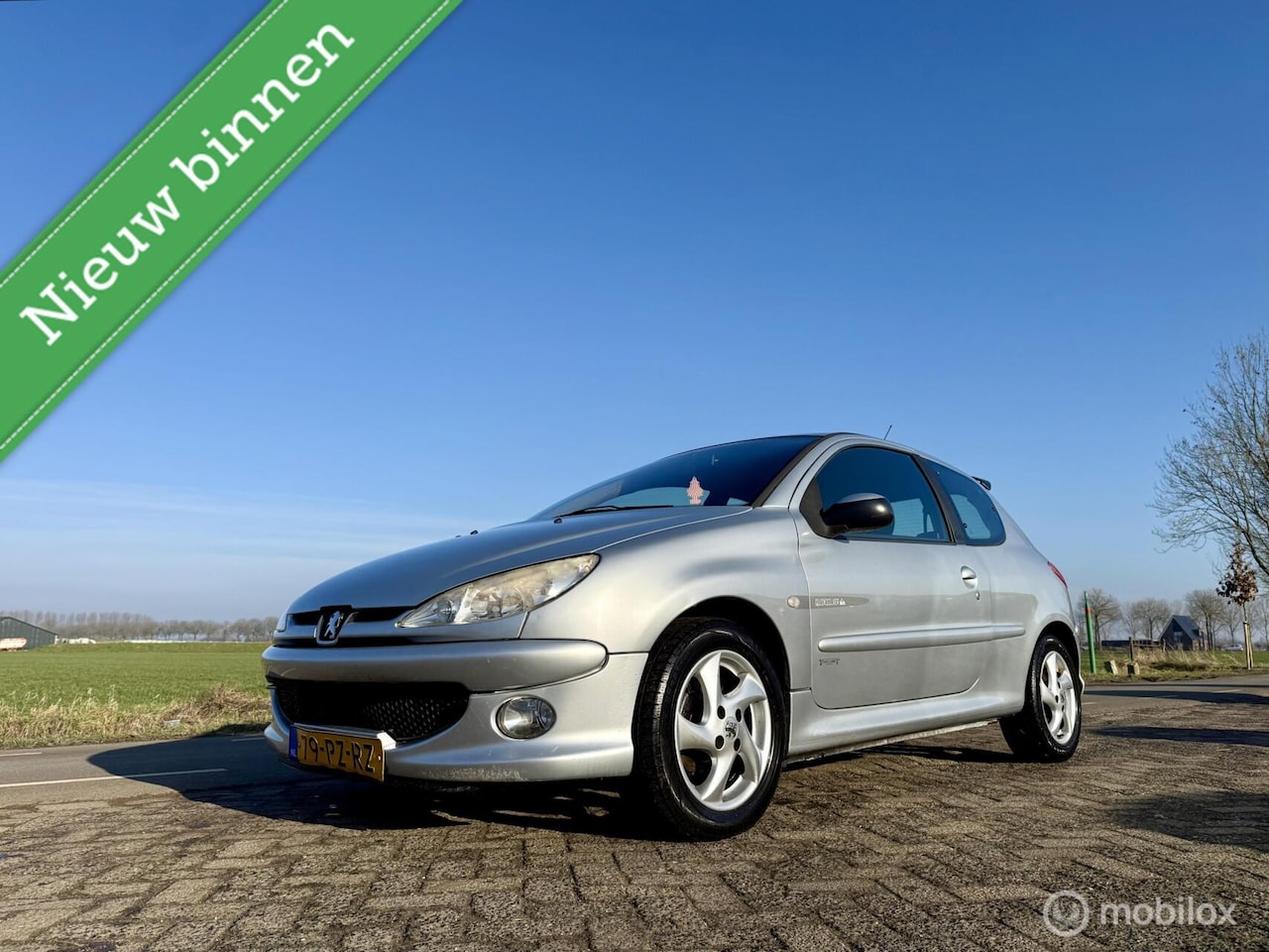 Peugeot 206 - 1.6-16V Quiksilver 1.6-16V Quiksilver, BJ 2005, Airco, APK, Velgen - AutoWereld.nl