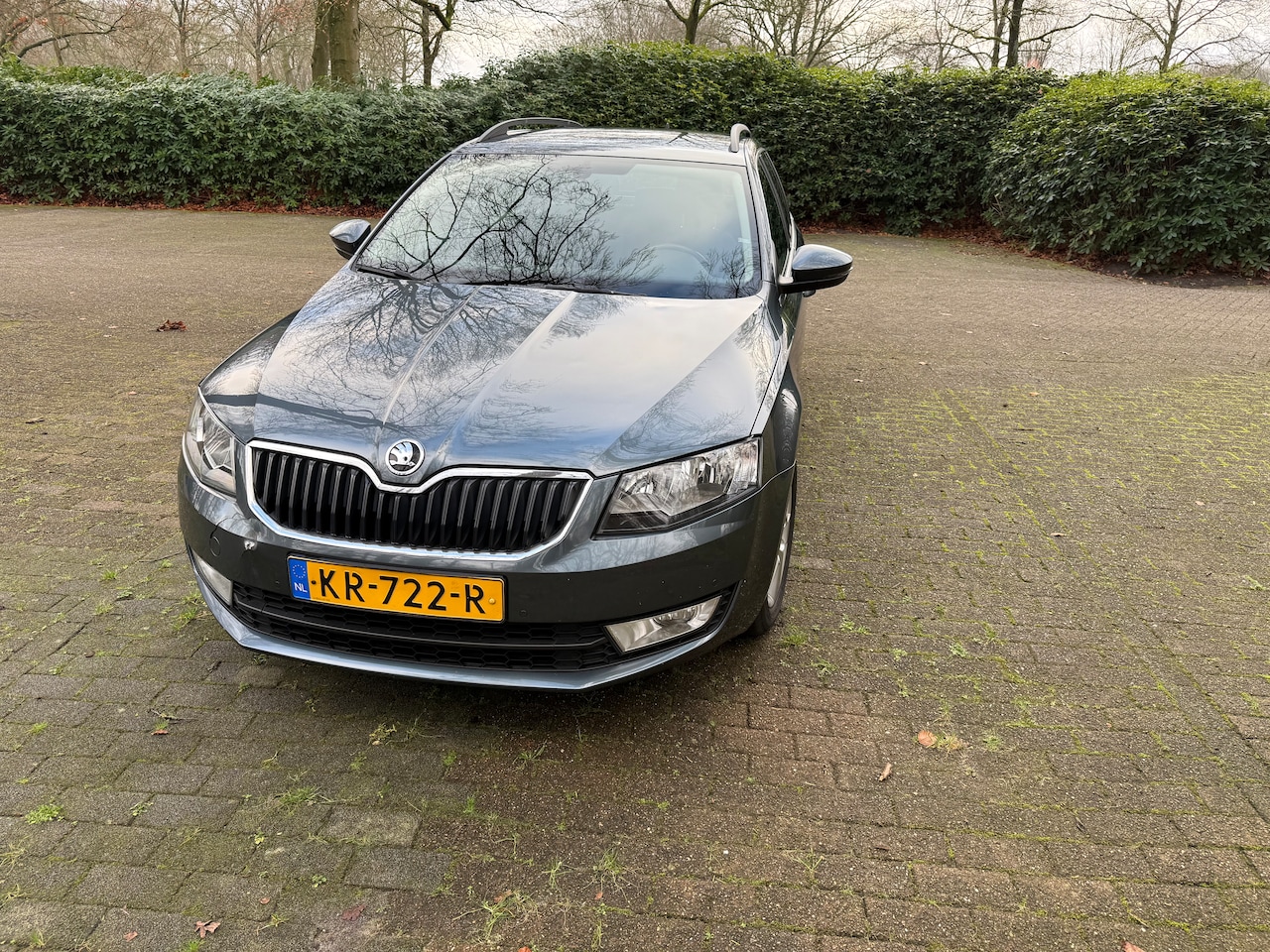 Skoda Octavia Combi - 1.2 TSI Greentech Ambition Businessline - AutoWereld.nl