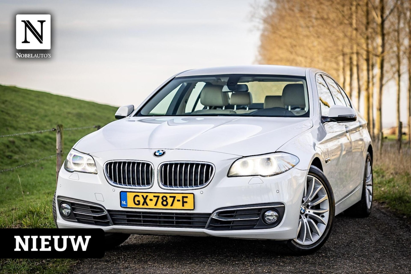 BMW 5-serie - 518d High Executive | NAP | Leer | Groot Navi - AutoWereld.nl