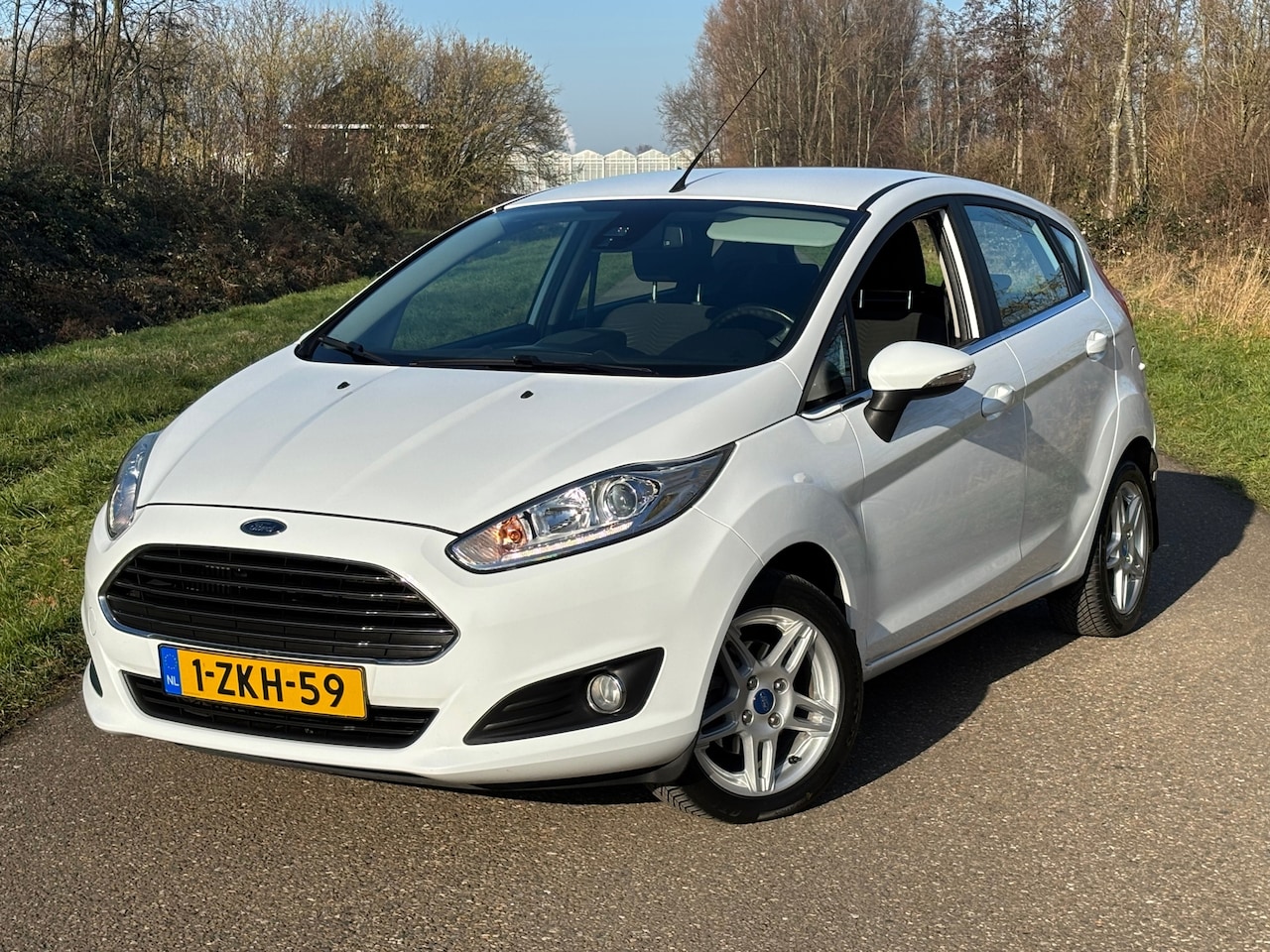 Ford Fiesta - 1.0 EcoBoost Titanium/Navi/Pdc/Acc/Cruise - AutoWereld.nl