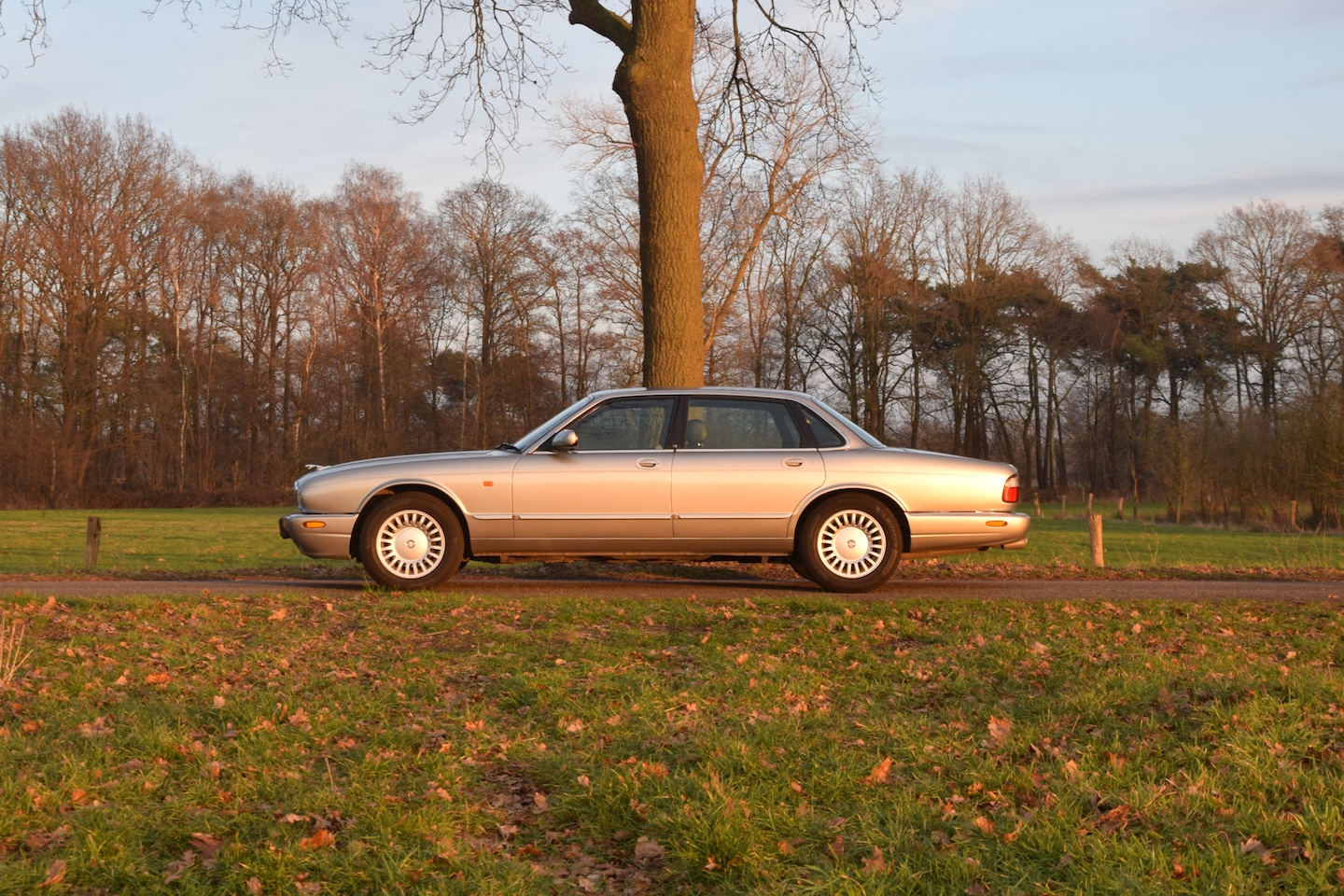 Jaguar XJ - 3.2 V8 Executive Meteorite Pearl metallic – 338.917km – Y1999 - AutoWereld.nl