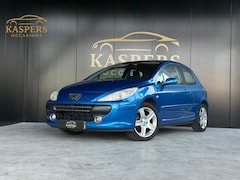 Peugeot 307 - 2.0-16V |Cruise|Airco|Nette auto|Nieuwe APK|