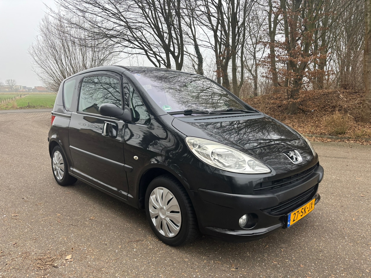 Peugeot 1007 - 1.4 Gentry | Airco | APK 07-2026 - AutoWereld.nl