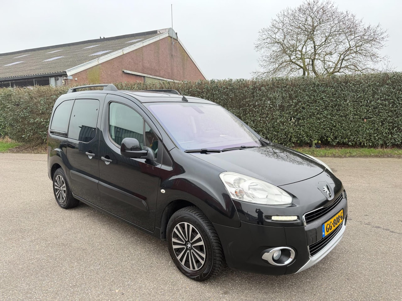 Peugeot Partner Tepee - 1.6 VTi - AC - PANODAK - APK 1/2027 - AutoWereld.nl