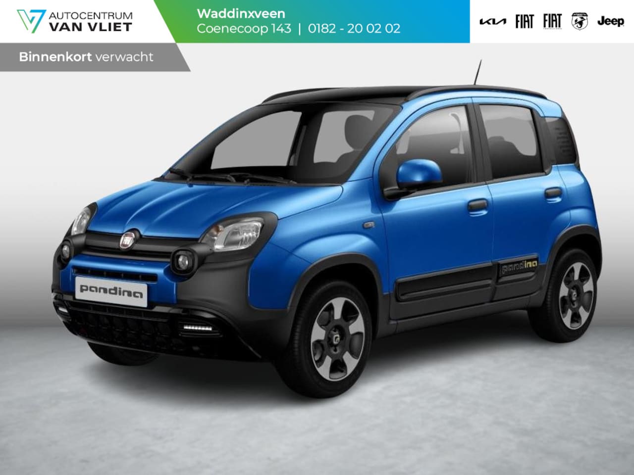 Fiat Pandina - 1.0 Cross 1.0 Cross - AutoWereld.nl