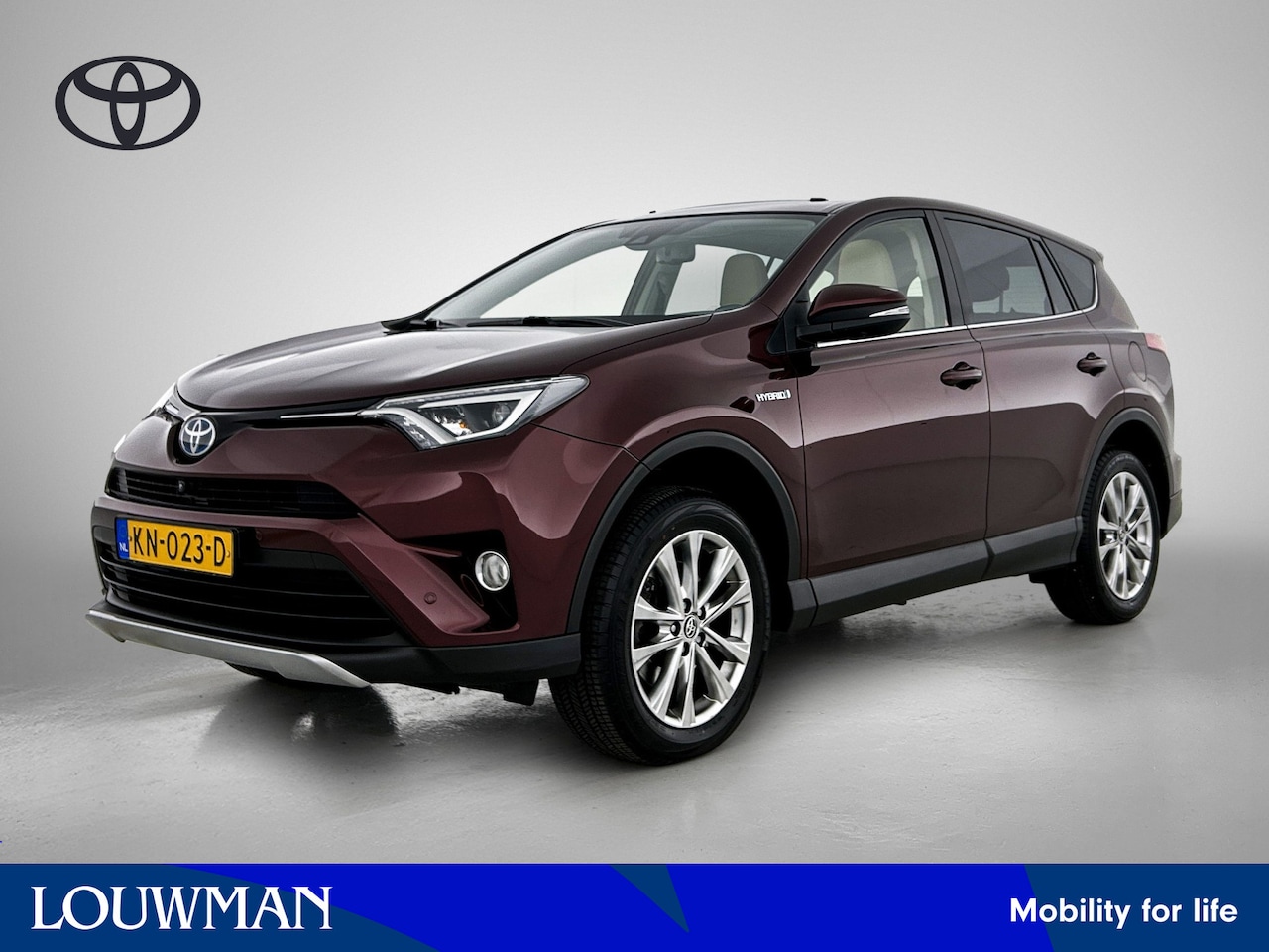 Toyota RAV4 - 2.5 Hybrid AWD Executive 2.5 Hybrid AWD Executive - AutoWereld.nl