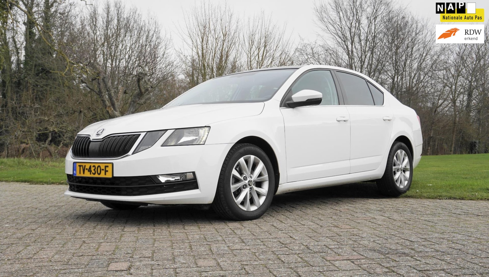 Skoda Octavia - 1.0 TSI Greentech Ambition Business Automaat trekhaak - AutoWereld.nl