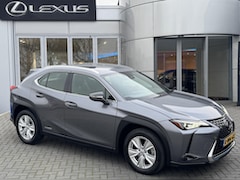Lexus UX - 250h Business Line Pro TREKHAAK KEY-LESS ENTRY CARPLAY NAVI