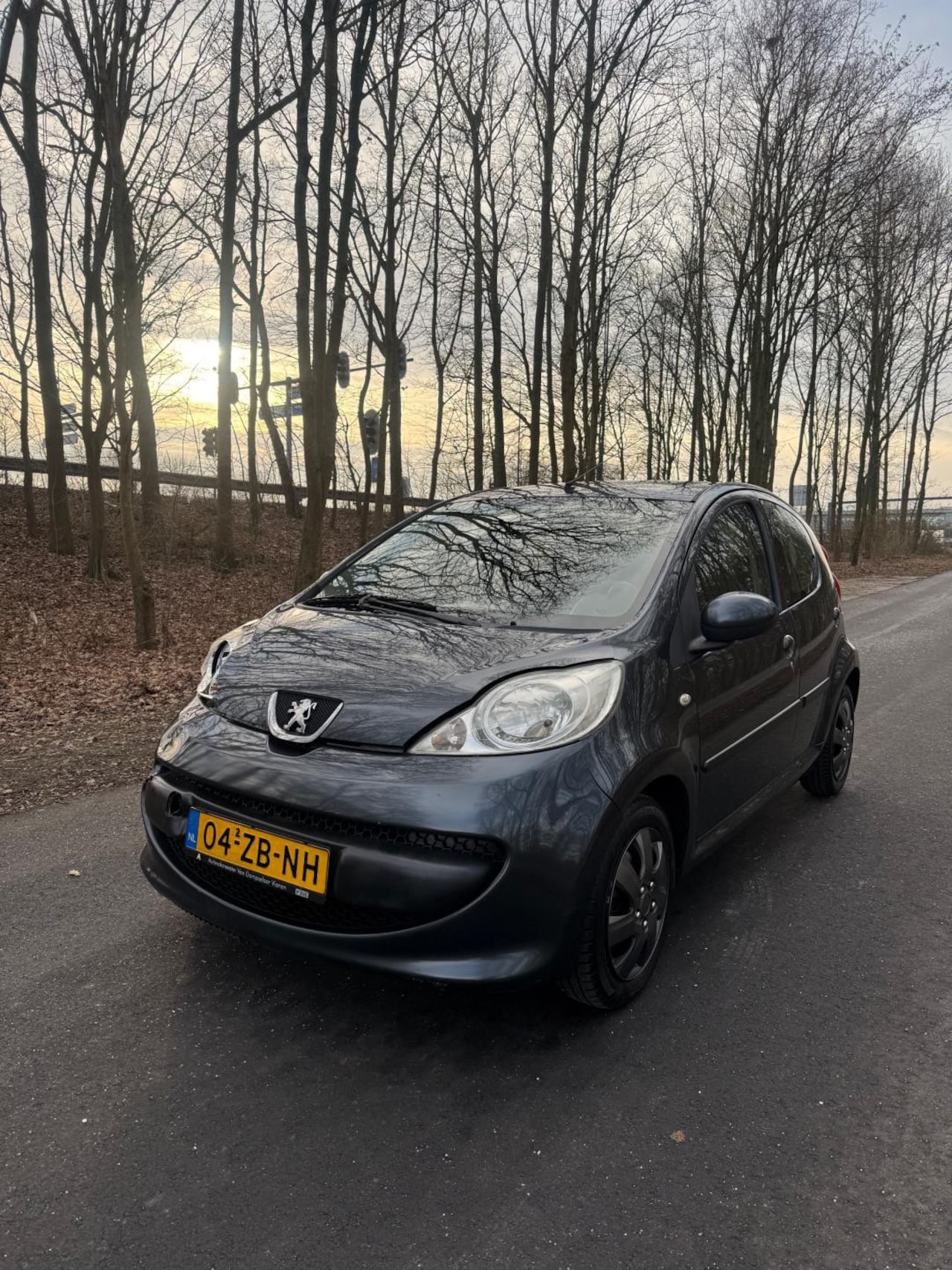 Peugeot 107 - 1.0-12V XS 1.0-12V XS, met rijbare schade! Airco!! - AutoWereld.nl