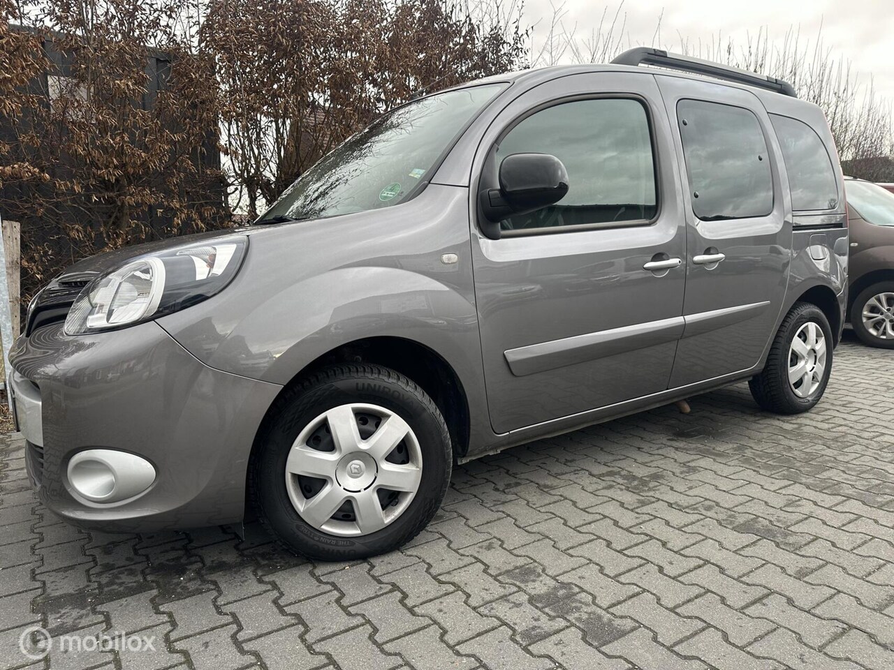 Renault Kangoo Family - 1.2 TCe / Rolstoelauto / Zeer netjes ! - AutoWereld.nl
