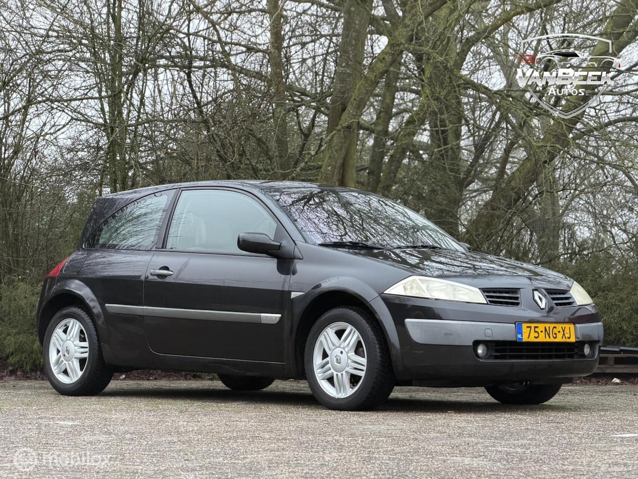 Renault Mégane - 1.4-16V Expression Comfort Nwe APK - AutoWereld.nl