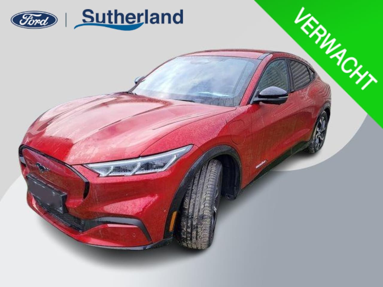 Ford Mustang Mach-E - Extended Premium RWD 98 kWh 294pk | Technology Pack Plus | Adaptieve Cruise | - AutoWereld.nl