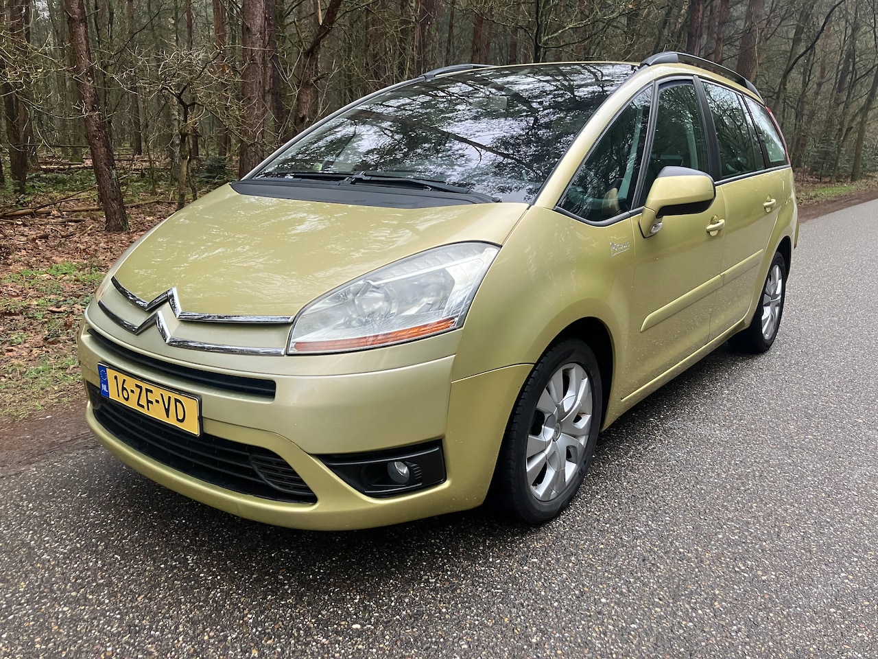 Citroën Grand C4 Picasso - 2.0-16V Ambiance EB6V 7p. 7 persoons Nieuwe APK Automaat Cruisecontrol Airco - AutoWereld.nl