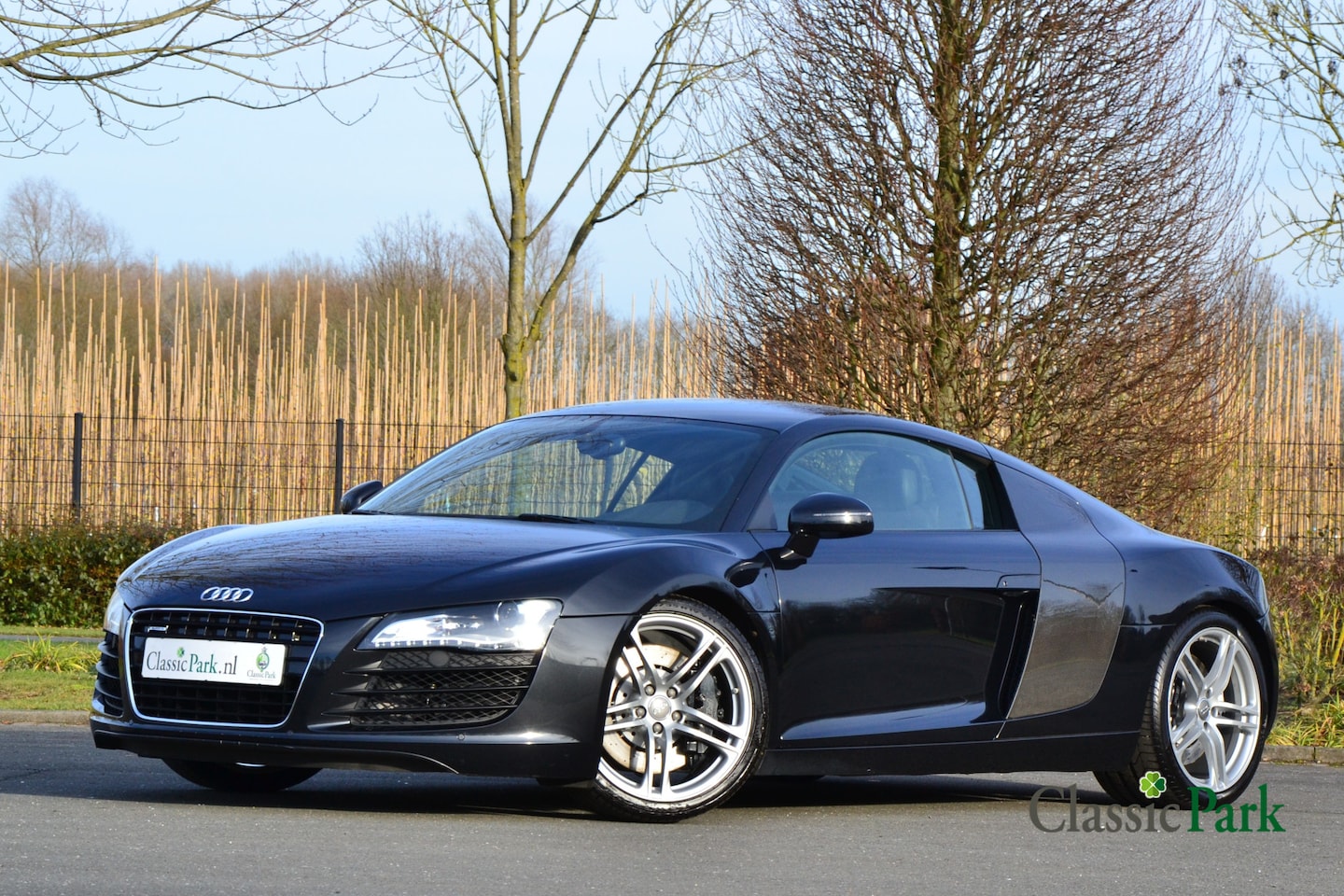 Audi R8 - 4.2 V8 FSI R-Tronic Pro+ - AutoWereld.nl