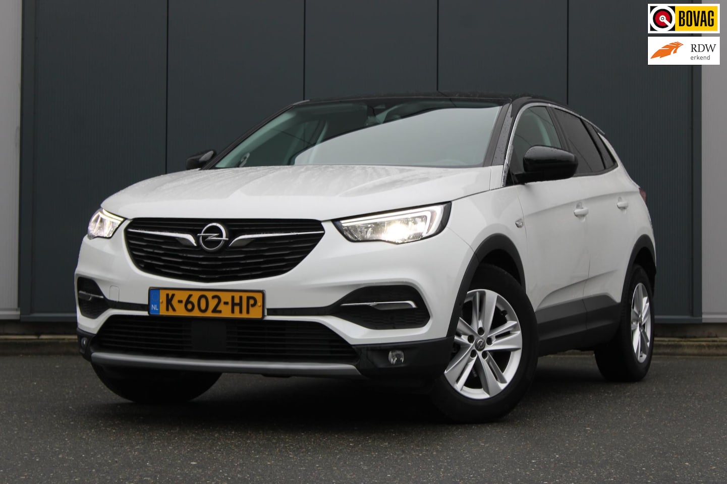 Opel Grandland X - 1.2 Turbo Business Executive 1.2 Turbo Business Executive, Automaat, Stoelverwarming, Stuurwielverwarming, Trekhaak, Pa - AutoWereld.nl