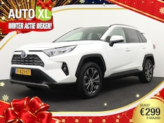 Toyota RAV4 - 2.5 Hybrid Business+ JBL 360* Camera Leder