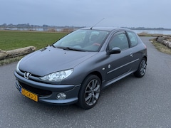 Peugeot 206 - 1.4 Génération