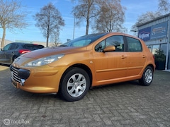 Peugeot 307 - 1.6-16V XS