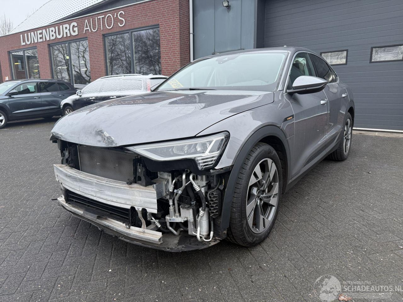 Audi e-tron - 55 quattro edition 95 kWh PANORAMADAK - AutoWereld.nl