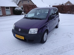Fiat Panda - 1.2 Actual