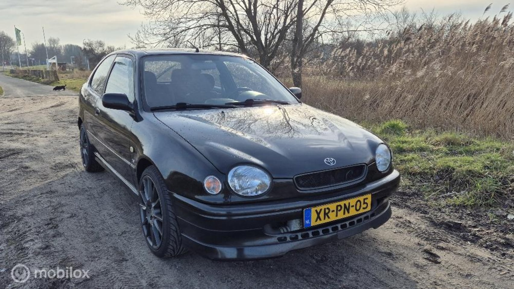 Toyota Corolla - G6R - AutoWereld.nl