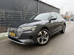 Audi e-tron - 50 quattro Business edition 71 kWh / AUTOMAAT / NAVI / CARPLAY / CRUISE