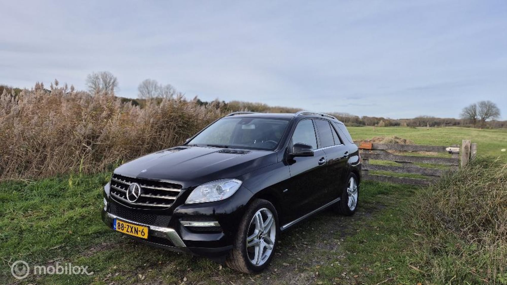 Mercedes-Benz ML-klasse - 350 - AutoWereld.nl