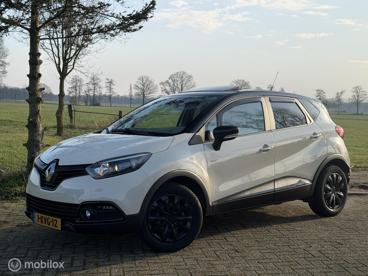 Renault Captur - 0.9 TCe 90pk panodak 100% ondh camera cruise - AutoWereld.nl