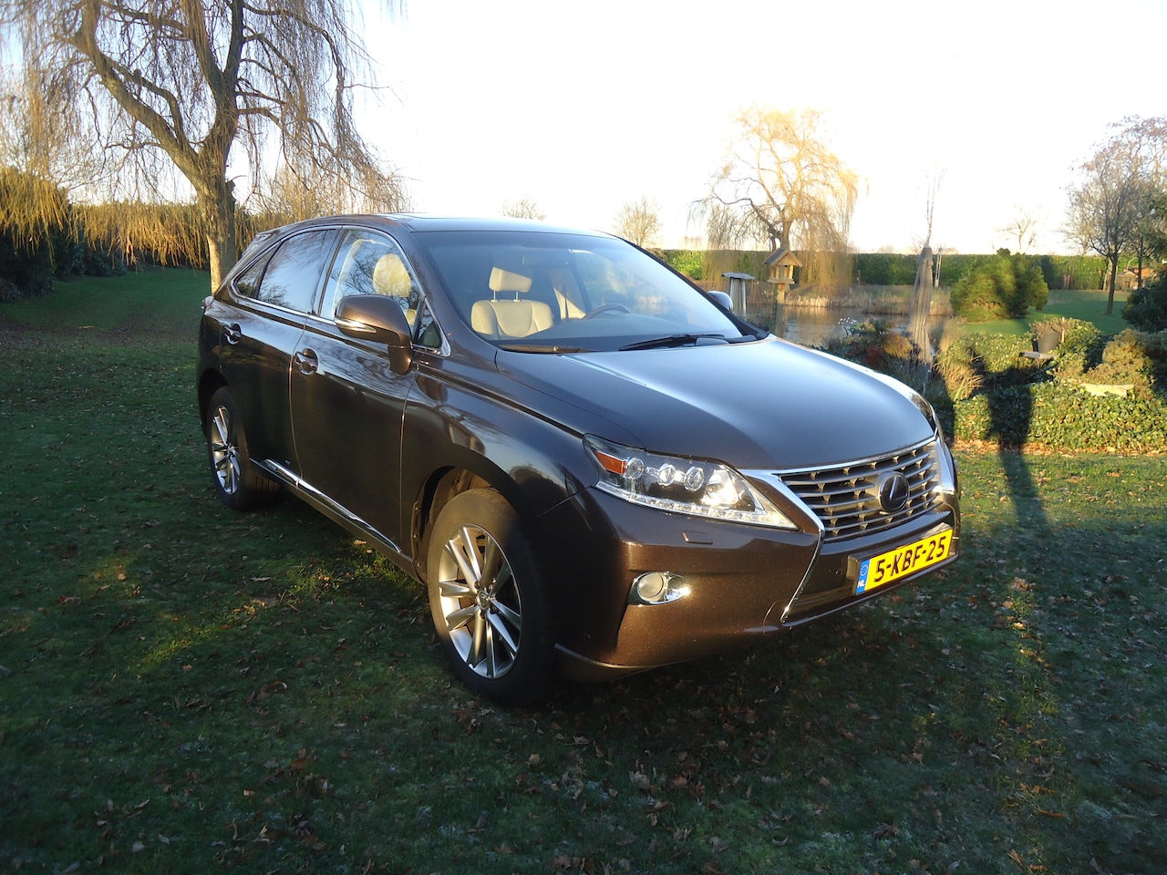 Lexus RX - 450h 4WD President Line met iedere denkbare optie