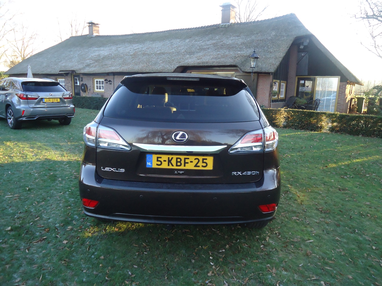 Lexus RX - 450h 4WD President Line met iedere denkbare optie