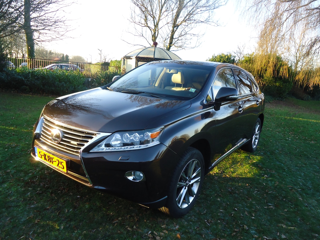 Lexus RX - 450h 4WD President Line met iedere denkbare optie