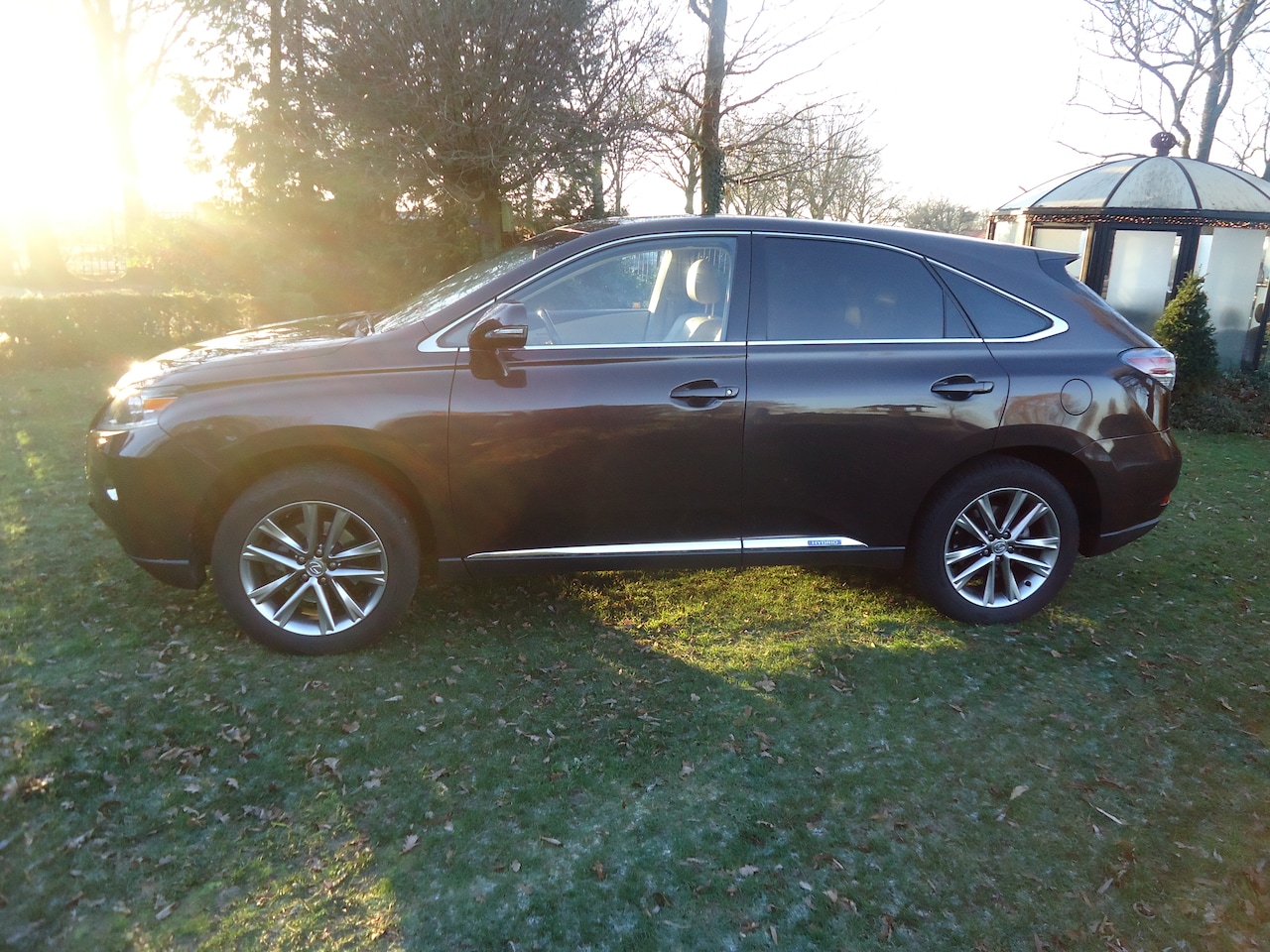 Lexus RX - 450h 4WD President Line met iedere denkbare optie