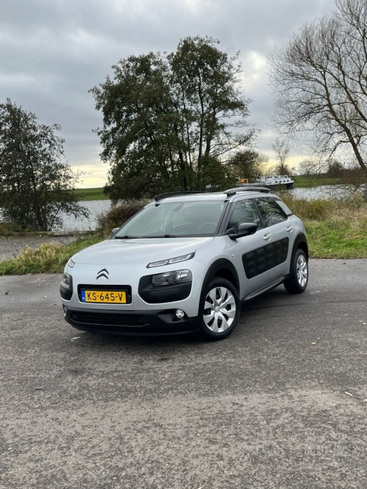 Citroën C4 Cactus - 1.2 2016 Trekhaak Afneem Org NL Cruise - AutoWereld.nl