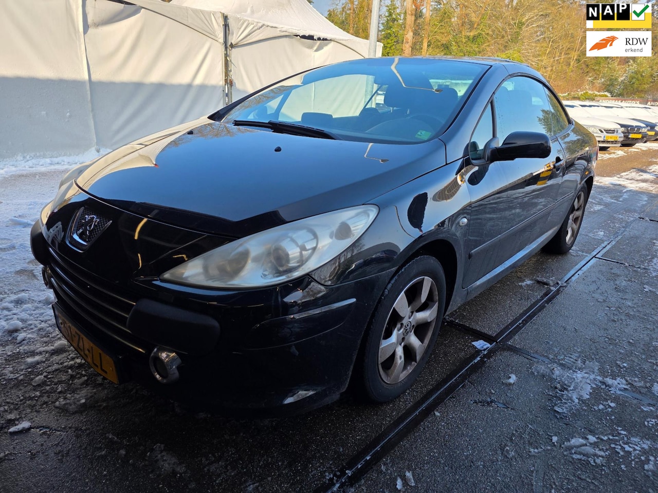 Peugeot 307 CC - 2.0-16V INRUILKOOPJE - AutoWereld.nl