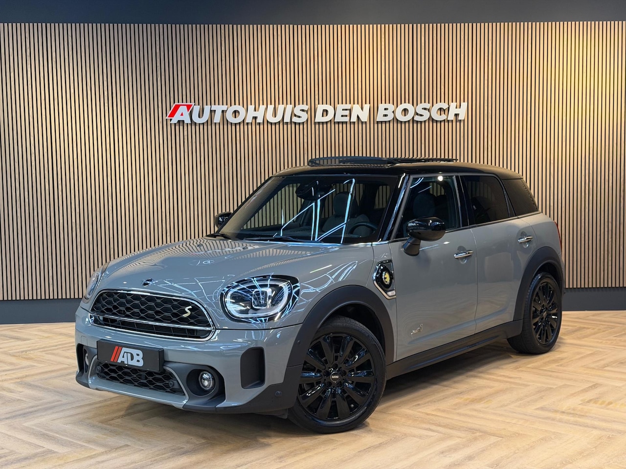 MINI Countryman - Mini 1.5 Cooper S E ALL4 220PK - Pano - Cam - AutoWereld.nl
