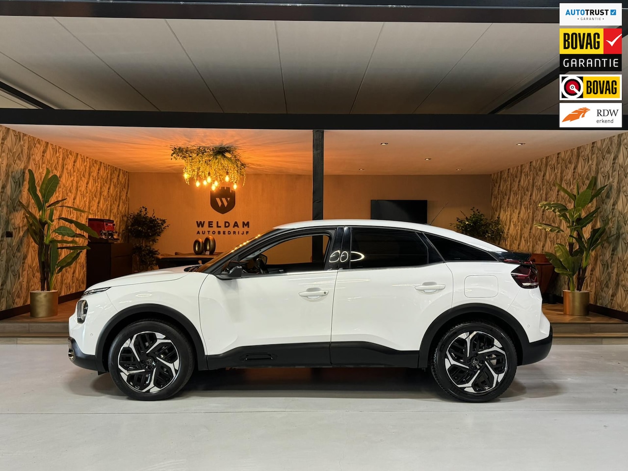 Citroën C4 - 1.2 Puretech Shine Garantie Head-Up Carplay Camera Adoptieve Cruise Navi Clima Keyless Led - AutoWereld.nl