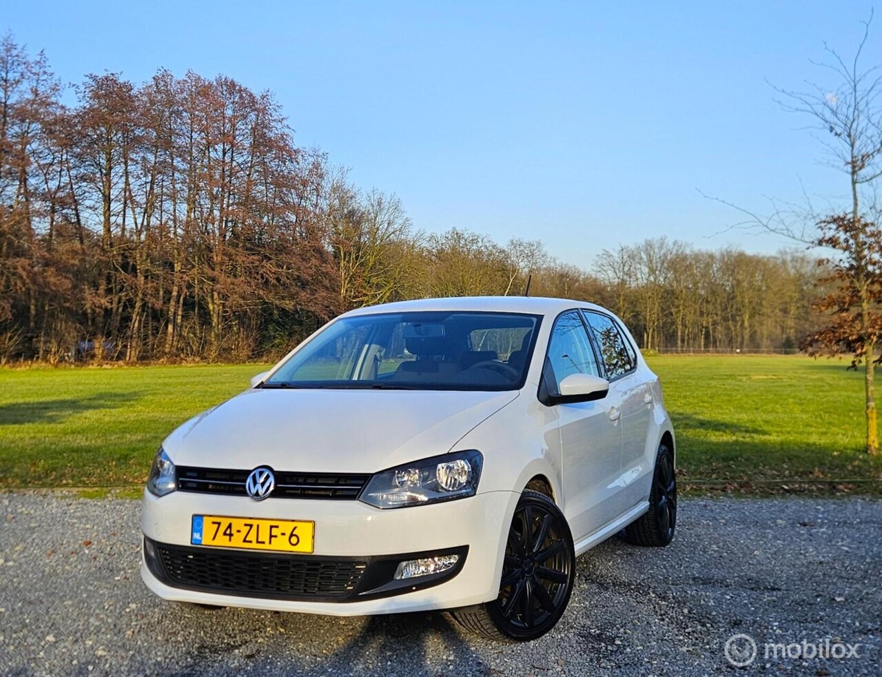 Volkswagen Polo - 1.2 TSI BlueMotion Comfortline 1.2 TSI BlueMotion Comfortline, NWE Ketting - AutoWereld.nl