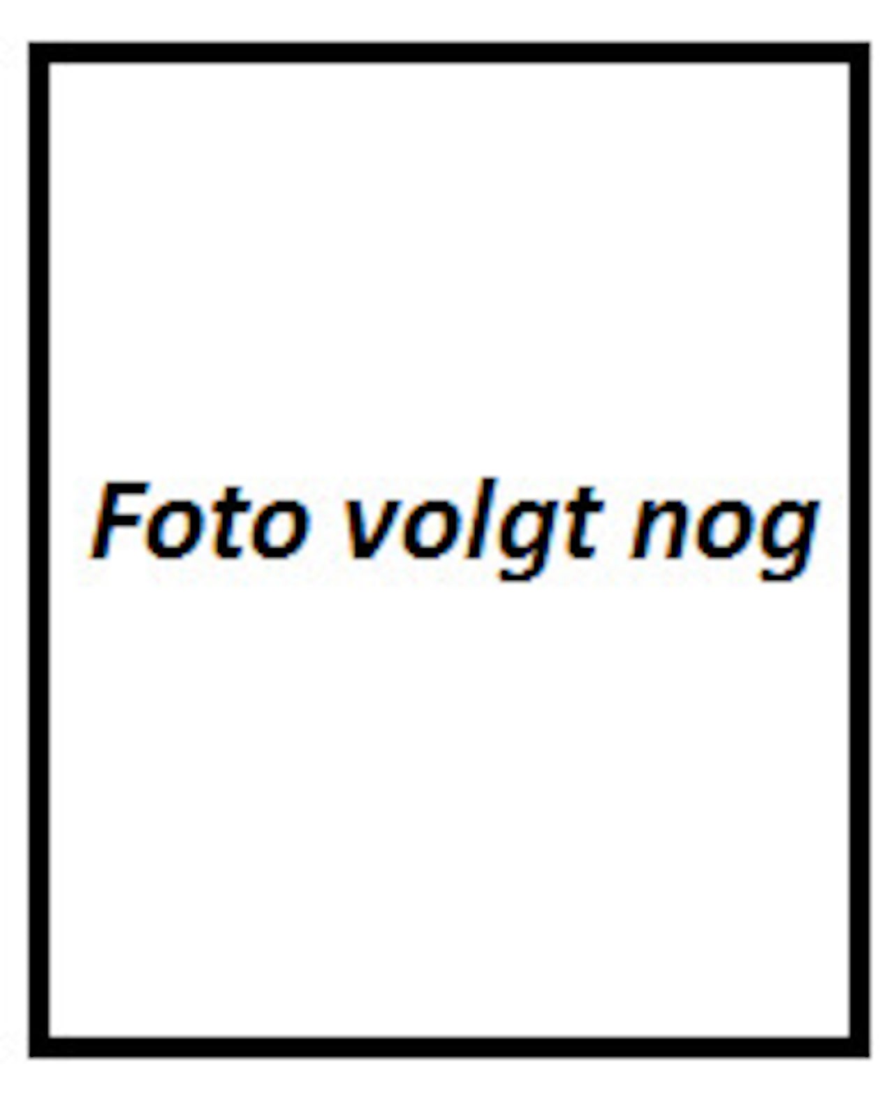 Fiat Fiorino - 1.3 MJ Adventure 1.3 MJ Adventure - AutoWereld.nl