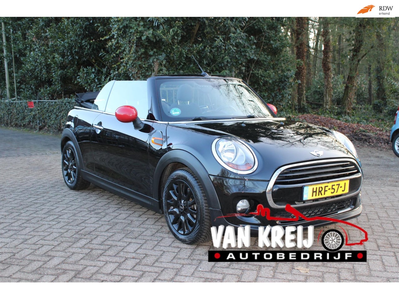 MINI Cabrio - 1.5 Cooper Serious Business Mini 1.5 Cooper Serious Business, Airco, Half leder, Stoelverw. - AutoWereld.nl