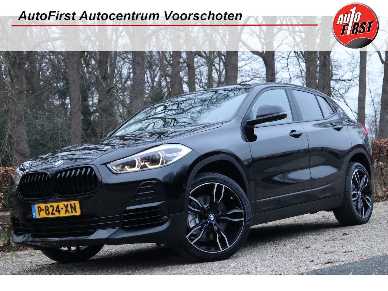 BMW X2 - sDrive20i Business Edition | Head-up | Camera | Navi | - AutoWereld.nl