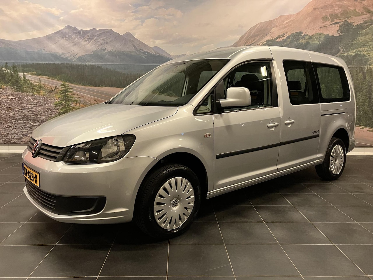 Volkswagen Caddy Maxi - 1.2 TSI Trendline | Rolstoel-Invalide vervoer | Verlaagde bodem | Goed onderhouden | Lage - AutoWereld.nl