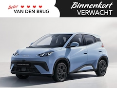 BYD Dolphin Surf - Boost 43 kWh | €2000 korting | 322km WLTP | Achteruitrijcamera | Adaptive cruise control |