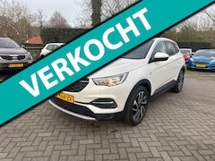 Opel Grandland X - 1.2 Turbo Business Executive trekhaak verkoop op afspraak