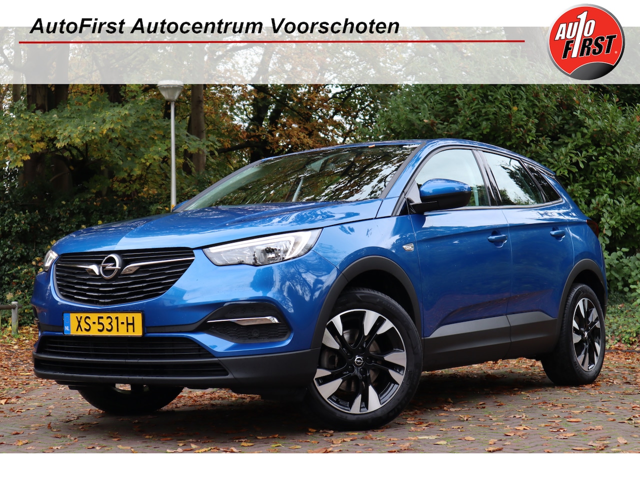 Opel Grandland X - 1.2 Turbo Business + | Navi | Carplay | Cruise control | - AutoWereld.nl