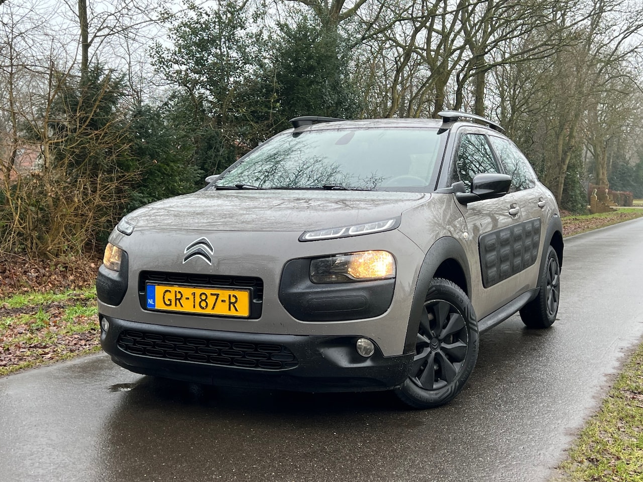 Citroën C4 Cactus - 1.6 BlueHDi Business | Pano + Cruise + Clima + Navi + Camera Nu € 4.975,-!!! - AutoWereld.nl