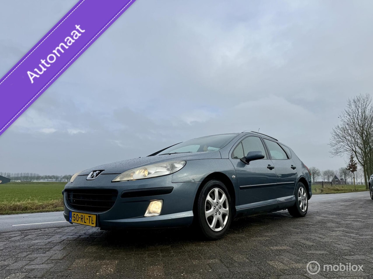 Peugeot 407 SW - 2.0-16V XR Pack 2.0-16V XR Pack, Automaat, APK 2027, Pano - AutoWereld.nl