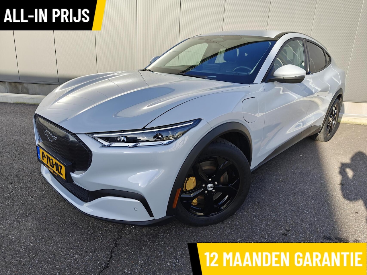 Ford Mustang Mach-E - Mach-E|Carplay\Android|Camera|leder| Ford Mustang 75kWh RWD - AutoWereld.nl