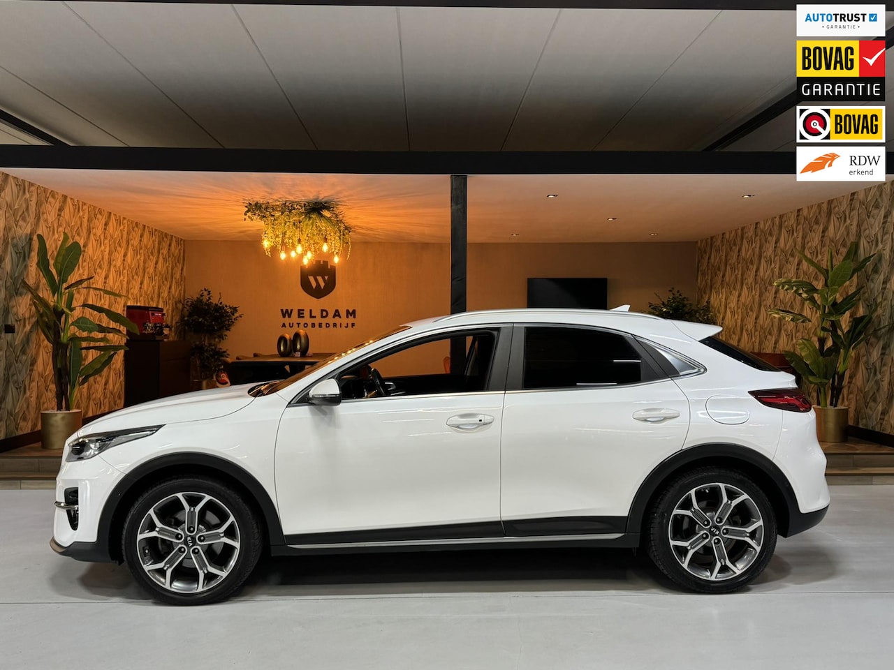 Kia XCeed - 1.5 T-GDI ExecutiveLine Garantie Memory Leder StoelVentilatie StoelVW StuurVW Camera Elek - AutoWereld.nl