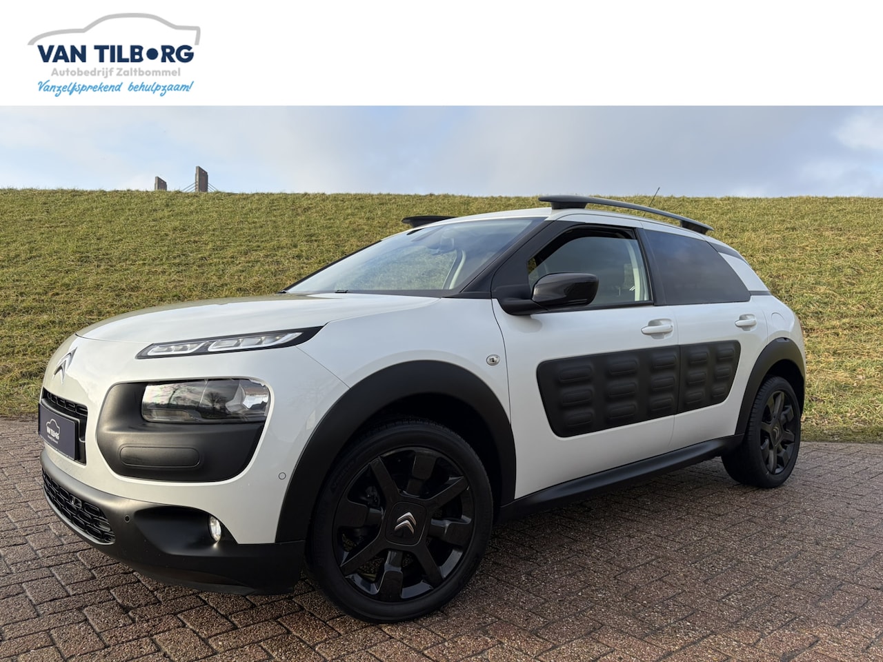 Citroën C4 Cactus - 1.2 PureTech Shine !!UNIEK!! | PCD V&A | Camera | Navi | Orig. NL Auto | Dealeronderhouden - AutoWereld.nl