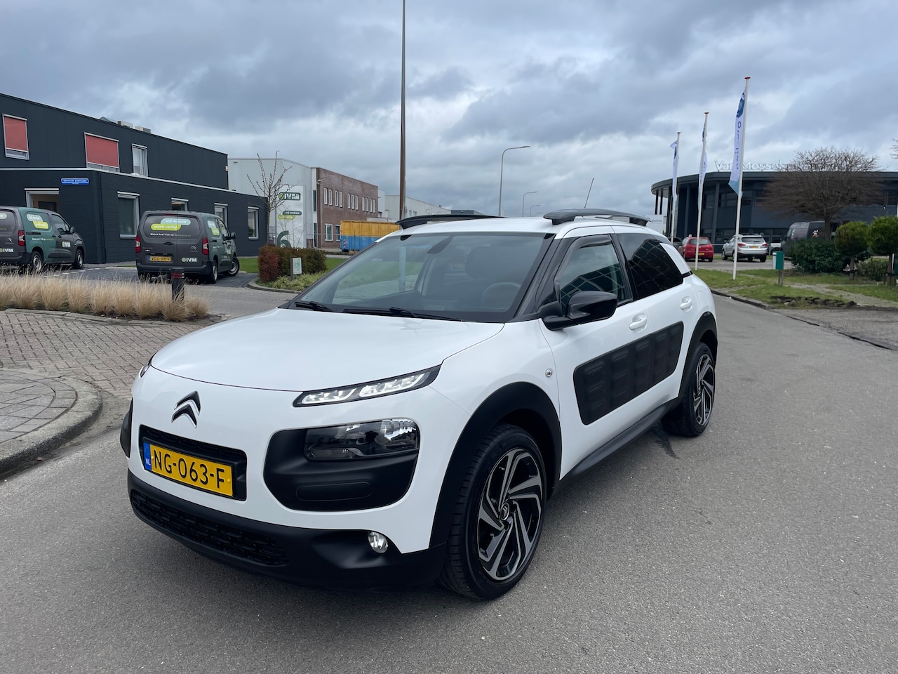 Citroën C4 Cactus - 1.2 PureTech Shine Automaat - AutoWereld.nl